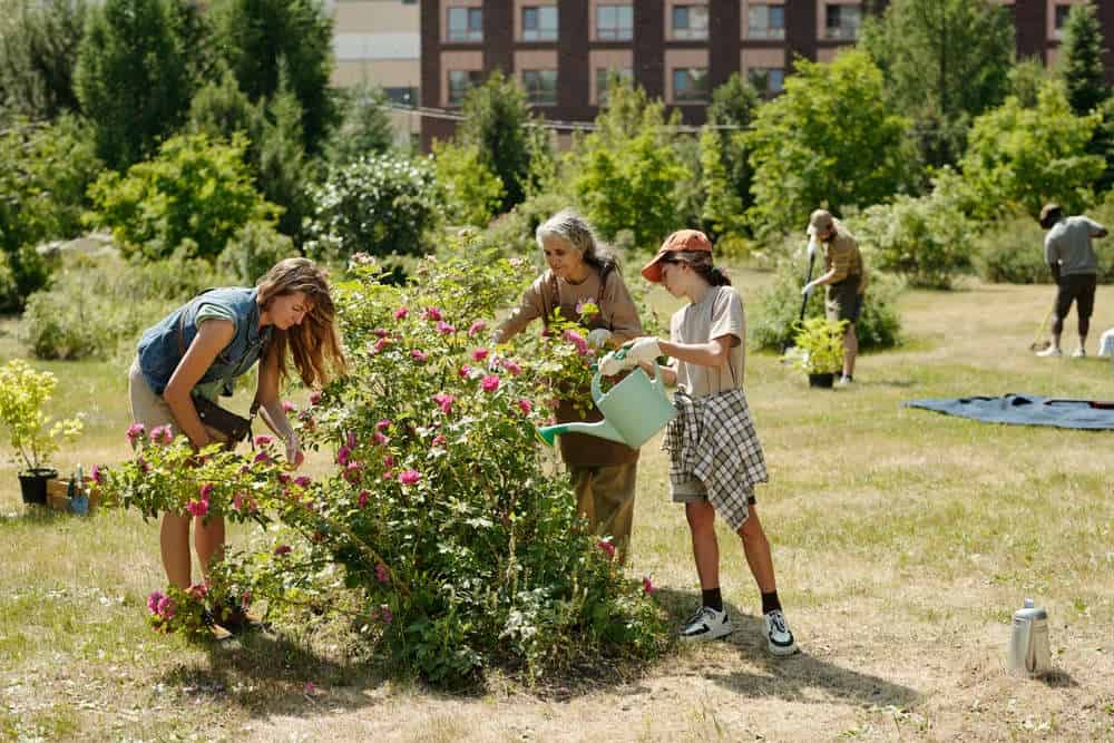 Family gardening in Fika community in Elgin, TX.
